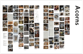 Agents of Alternatives