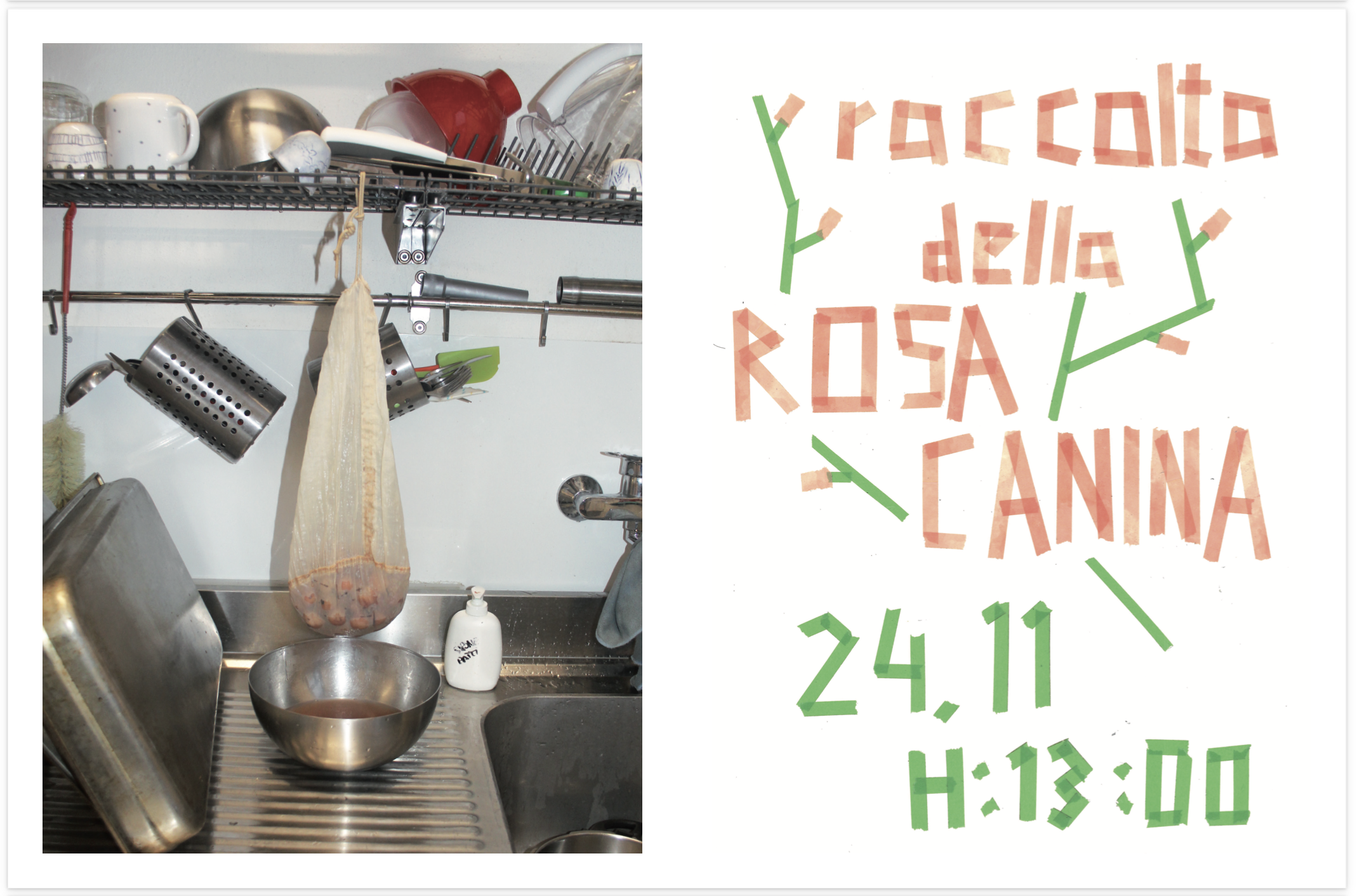 Agents of Alternatives