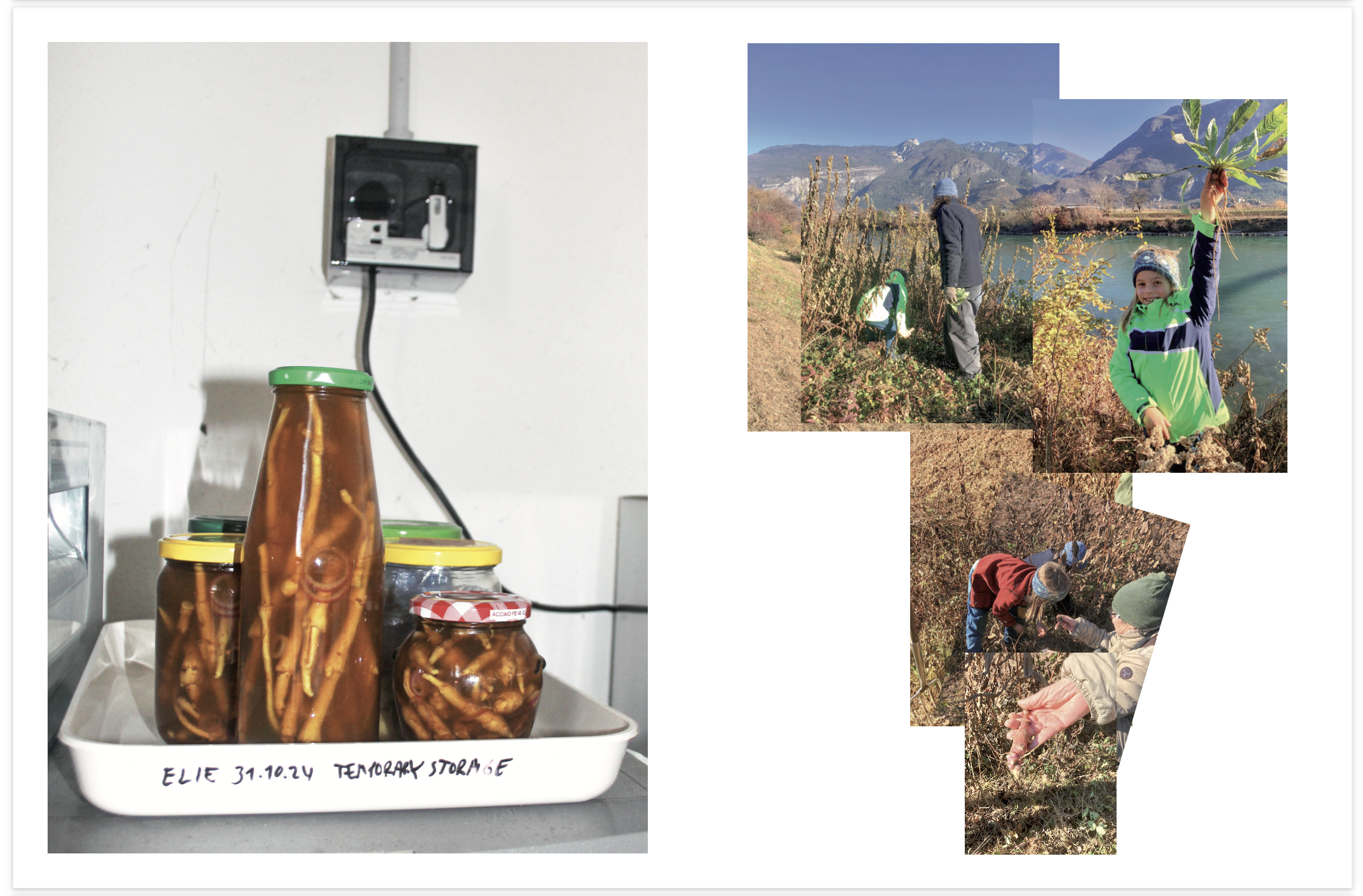 Agents of Alternatives